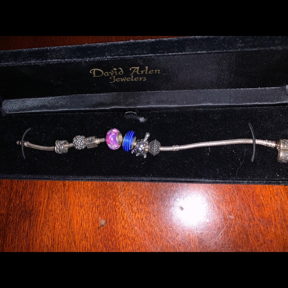 Pandora Bracelet